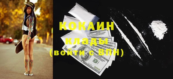 шишки Алексин