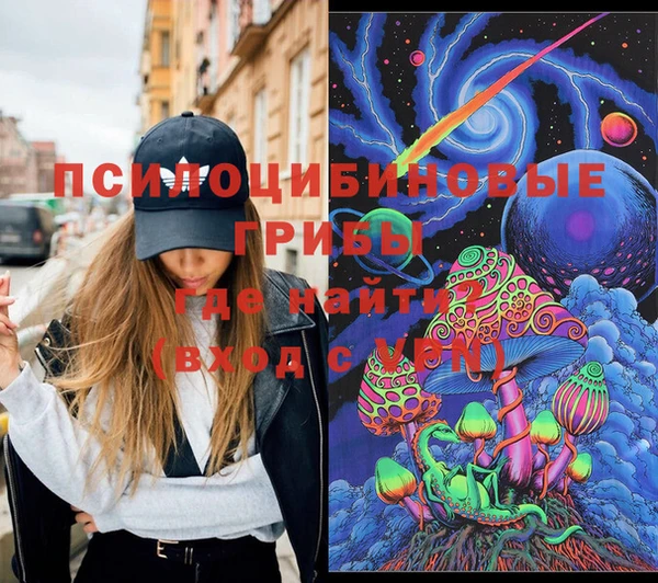 шишки Алексин
