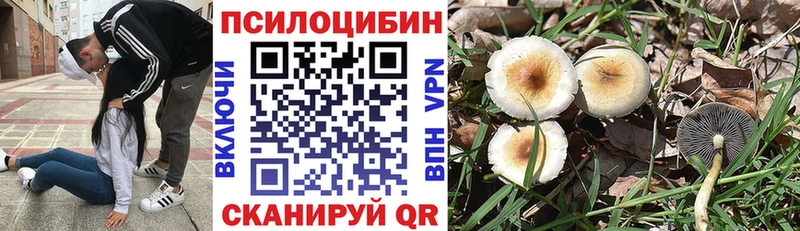 Псилоцибиновые грибы GOLDEN TEACHER  Поронайск 